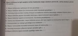 A. Mayoz bölünme ile ilgili aşağıda verilen ifadelerden doğru olanların yanına (D), yanlış olanların yanına
(Y) yazınız.
1) Mayoz bölünmede replikasyon bir kez gerçekleşir. ( )
2) Mayoz bölünme diploit (2n) kromozomlu bütün hücrelerde gerçekleşir. ( )
3) Homolog kromozomların kardeş olmayan kromatitlerinin birbirine dokunduğu noktalara kiyazma denir. ( )
4) Mayoz bölünme geçiren hücredeki tetrat sayısı diploit kromozom sayısı kadardır. ( )
5) Mayoz bölünme haploit (n) kromozomlu hücrelerde gerçekleşmez. ( )
6) Üreme ana hücrelerinden, mayoz bölünme sonucu dört tane haploit (n) kromozomlu hücre oluşur. ( )
7) Kromozomların en belirgin görüldüğü evre metafazdır. ( )
8) Mayoz I sonucunda hücredeki kromozom sayısı iki katına çıkar. ( )
9) Homolog kromozom çiftlerinin tamamı anneden gelir. ( )
10) Mayoz bölünme eşeyli üremede çeşitliliğe neden olur. ( )