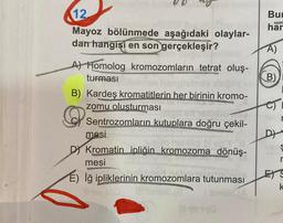 12.
Mayoz bölünmede aşağıdaki olaylar-
dan hangisi en son gerçekleşir?
A) Homolog kromozomların tetrat oluş-
turması
B) Kardeş kromatitlerin her birinin kromo-
zomu oluşturması
Sentrozomların kutuplara doğru çekil-
mesi
auzulo hoblila
D Kromatin ipliğin kromozoma dönüş-
mesi
Wan
E) Iğ ipliklerinin kromozomlara tutunması
ITSRACY (8
|||
Bur
PARCH
har
A)
B)
CT
DY
r
ES
k