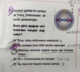 32 Yandaki şekilde bir canlıya
ait mitoz bölünmenin bir ne
evresi gösterilmiştir.
Buna göre aşağıda veri-
lenlerden hangisi doğ-
rudur?
9
metafa
A) Evre, mitoz bölünmenin interfazıdır. X
Bu evreden önce DNA kendini eşlemiştir. Profand
Bölünme sonunda organel sayısı eşit hücreler
oluşur.
D2n = 3 kromozomlu bir hücredir. 20=4
Bu hücre bir hayvan hücresi olamaz. X