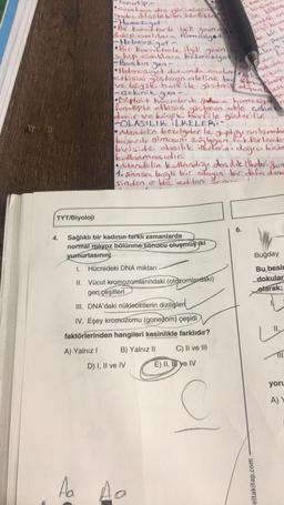 TYT/Biyoloji
4.
tenotip
canlının diz gerist
Yada ölačlebilen özellikle
Home 2 got-
•Bir karakterle ilgili genin ay
&hip canlılara homoziget
-Heterozigot
-
Bir karakterle ilgili genin
ship canlilara heterozigot
-Baskin gen-
Heterozigot durumda canlinden!
etkisini gösteren aleline barnean
ve bügik hard ile gösteril daun
gen-
Sağlıklı bir kadının farklı zamanlarda
normal mayoz bölünme sonucu oluşmuş iki
yumurtasının
1. Hücredeki DNA miktarı
II. Vücut kromozomlarındaki (otozomlardaki)
gen çeşitleri
-geknik
•Diploit hücrelerde Sadece homoziga
fenotipte etkisini gösteren able çekiniki
denir ve köçük harfile gösterilir.
-OLASILIK LKELERI-
•Mendelin bezelyeler le
yaptığı çalışmalar
başarılı olmasını sağlayan faktörlerder
biriside olasılık ilkelerini doğru bicis
kullanmasıdır.
III. DNA'daki nükleotitlerin dizilişleri
IV. Eşey kromozomu (gonozom) çeşidi
faktörlerinden hangileri kesinlikle farklıdır?
A) Yalnız I
C) II ve III
B) Yalnız II
D) I, II ve IV
•Mendolin kullandığı dasılık ilkeleri Sum
1. sansa bağlı bir olayın bir defa denem
sinden elde edilen Sonne
Aa Aa
Ca
büyüme
ile bilinme
eredele geb
a hicre
de bir h
en paran
Alarin
E) II, III ye IV
6.
çekirdek
inde
ac
eltakitap.com
in
Buğday
Bu besin
dokular
olarak;
L".
yoru
A)