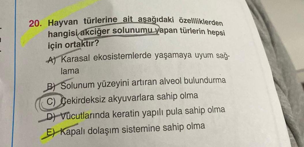 20. Hayvan türlerine ait aşağıdaki özellliklerden
hangisi akciğer solunumu yapan türlerin hepsi
için ortaktır?
A) Karasal ekosistemlerde yaşamaya uyum sağ-
lama
B) Solunum yüzeyini artıran alveol bulundurma
C) Cekirdeksiz akyuvarlara sahip olma
D) Vücutlar