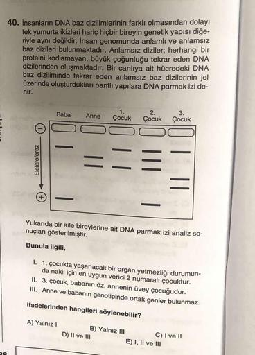 39
40. İnsanların DNA baz dizilimlerinin farklı olmasından dolayı
tek yumurta ikizleri hariç hiçbir bireyin genetik yapısı diğe-
riyle aynı değildir. İnsan genomunda anlamlı ve anlamsız
baz dizileri bulunmaktadır. Anlamsız diziler; herhangi bir
proteini ko