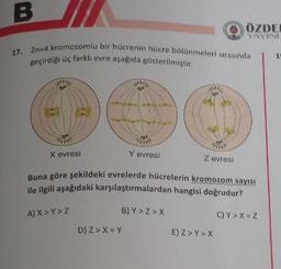 B
17. 2n=4 kromozomlu bir hücrenin hücre bölünmeleri sırasında
geçirdiği üç farklı evre aşağıda gösterilmiştir.
H
Te
X evresi
SMIC
D) Z> X = Y
in
Y evresi
N
Z evresi
Buna göre şekildeki evrelerde hücrelerin kromozom sayısı
ile ilgili aşağıdaki karşılaştırmalardan hangisi doğrudur?
B) Y>Z>X
A) X > Y>Z
C)Y>X=Z
ÖZDER
E) Z>Y=X
db YAYINI
15