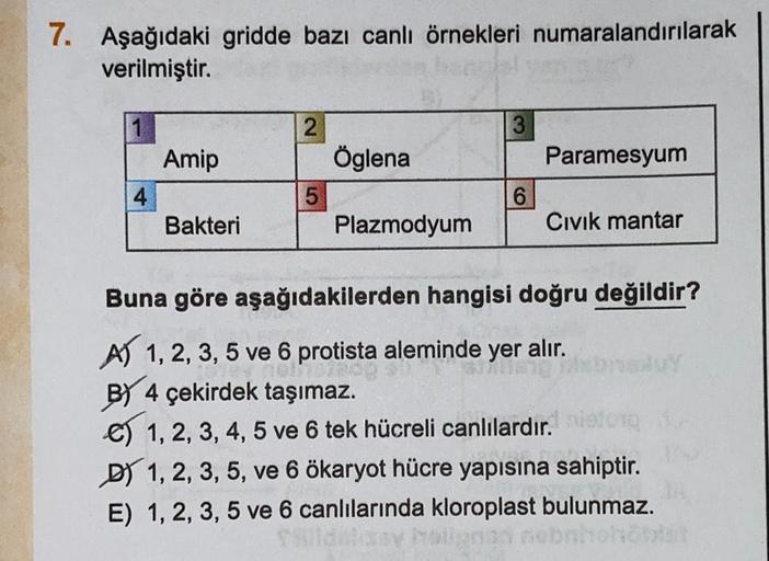 7. Aşağıdaki gridde bazı canlı örnekleri numaralandırılarak
verilmiştir.
Amip
Bakteri
2
5
Öglena
Plazmodyum
3
6
Paramesyum
Civik mantar
Buna göre aşağıdakilerden hangisi doğru değildir?
A) 1, 2, 3, 5 ve 6 protista aleminde yer alır.
neinsirop
BY 4 çekirdek