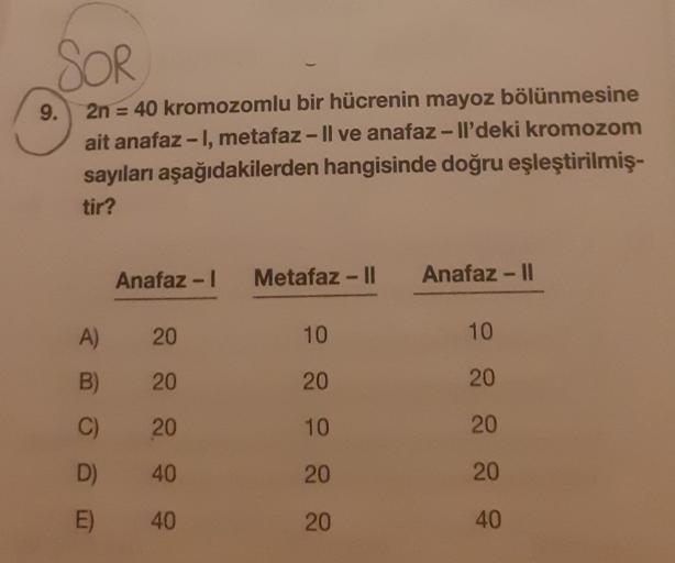 SOR
9. 2n = 40 kromozomlu bir hücrenin mayoz bölünmesine
ait anafaz-I, metafaz - Il ve anafaz-ll'deki kromozom
sayıları aşağıdakilerden hangisinde doğru eşleştirilmiş-
tir?
Anafaz-I Metafaz - II
A)
20
B)
20
C)
20
D) 40
E)
40
10
20
10
20
20
Anafaz - II
10
2