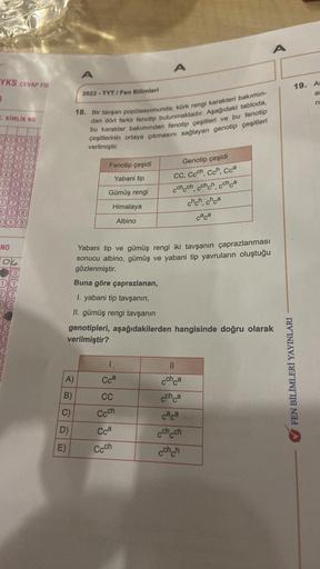 YKS CEVAP FO
B
C. KİMLİK NO
NO
(0) (0)
A)
B)
C)
A
D)
E)
2022-TYT/Fen Bilimleri
18. Bir tavşan popülasyonunda, kürk rengi karakteri bakımın-
dan dört farklı fenotip bulunmaktadır. Aşağıdaki tabloda,
bu karakter bakımından fenotip çeşitleri ve bu fenotip
çeş