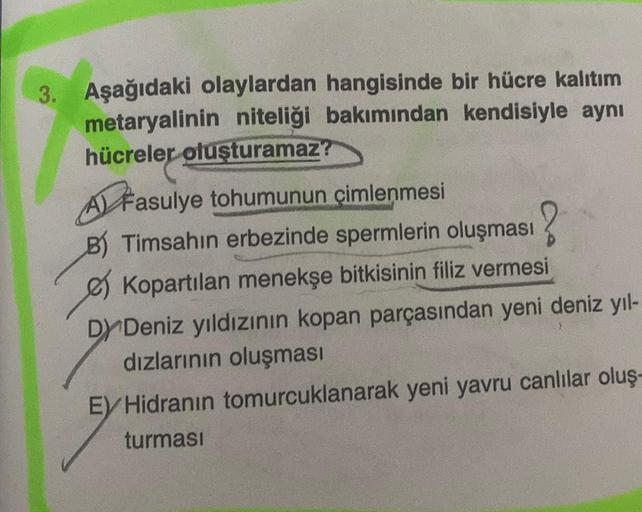 3. Aşağıdaki olaylardan hangisinde bir hücre kalıtım
metaryalinin niteliği bakımından kendisiyle aynı
hücreler oluşturamaz?
A
Fasulye tohumunun çimlenmesi
B) Timsahın erbezinde spermlerin oluşması
Kopartılan menekşe bitkisinin filiz vermesi
DY Deniz yıldız