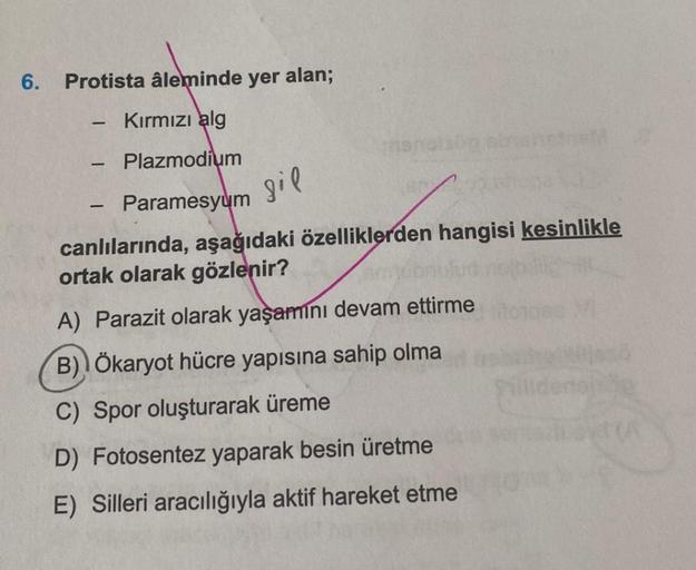 6. Protista âleminde yer alan;
Kırmızı alg
Plazmodium
Paramesyum
-
-
gil
canlılarında, aşağıdaki özelliklerden hangisi kesinlikle
ortak olarak gözlenir?
-
A) Parazit olarak yaşamını devam ettirme
B) Ökaryot hücre yapısına sahip olma
C) Spor oluşturarak üre