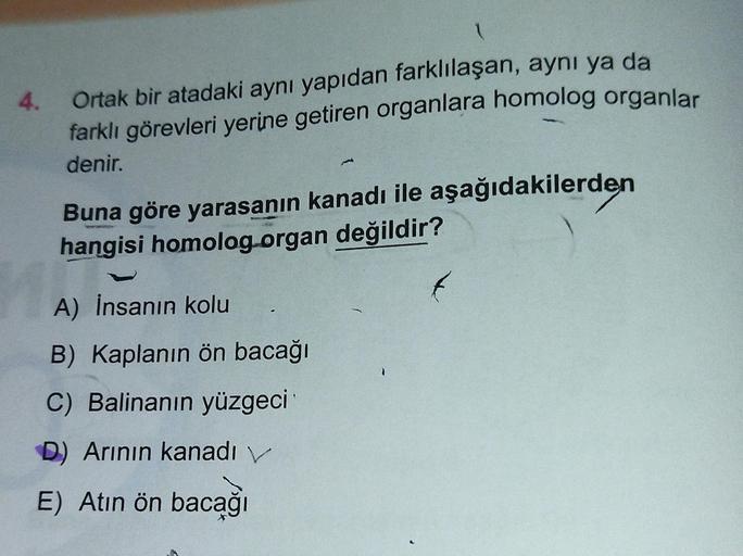 4.
f
Buna göre yarasanın kanadı ile aşağıdakilerden
hangisi homolog organ değildir?
Ortak bir atadaki aynı yapıdan farklılaşan, aynı ya da
farklı görevleri yerine getiren organlara homolog organlar
denir.
A) İnsanın kolu
B) Kaplanın ön bacağı
C) Balinanın 