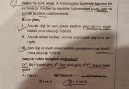 Kedilerde kürk rengi, X kromozomu üzerinde taşınan bir
karakterdir. Kediler bu karakter bakımından siyah, sarı ve
alacalı özellikte olabilmektedir.
Buna göre,
I. Alacalı dişi ile sarı erkek kedinin yavrularının siyah
kürklü olma olasılığı %50'dir.
II. Alacalı erkek kediler, normal kromozom sayısına sa-
hiptir.
III. Sarı dişi ile siyah erkek kedinin yavrularının sarı kürklü
olma olasılığı %50'dir.
yargılarından hangileri doğrudur?
(XB: Siyah kürk geni, XK: Sarı kürk geni, XBXK: Alacalı kürk
geni)
A) Yalnız I
D) I ve II
B) Yalnız It
I, II ve III
C) Yalnız III