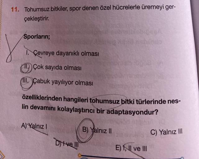 11. Tohumsuz bitkiler, spor denen özel hücrelerle üremeyi ger-
çekleştirir.
Sporların;
x
1. Çevreye dayanıklı olması
(11)
11. Çok sayıda olması
III. Çabuk yayılıyor olması
özelliklerinden hangileri tohumsuz bitki türlerinde nes-
lin devamını kolaylaştırıcı