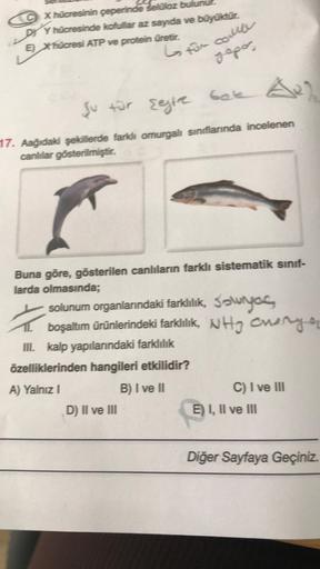 CX hücresinin çeperinde selüloz bu
LDY
DY hücresinde kofullar az sayıda ve büyüktür.
E) Xhücresi ATP ve protein üretir.
G for come
yapo,
A₂)
Ju für segire bok
17. Aağıdaki şekillerde farklı omurgalı sınıflarında incelenen
canlılar gösterilmiştir.
Buna göre