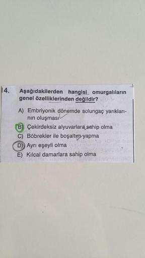 14.
Aşağıdakilerden hangisi omurgalıların
genel özelliklerinden değildir?
A) Embriyonik dönemde solungaç yarıkları-
nın oluşması
B) Çekirdeksiz alyuvarlara sahip olma
C) Böbrekler ile boşaltım yapma
D) Ayrı eşeyli olma
E) Kılcal damarlara sahip olma