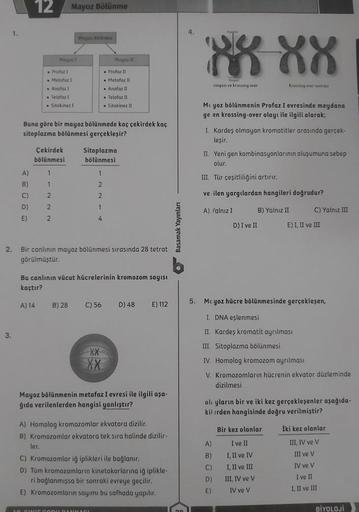 1.
3.
12
A)
B)
C)
D)
E)
Profaz 1
Metafaz 1
. Anafaz I
Çekirdek
bölünmesi
A) 14
Telefaz I
Sitokinez 1
Mayoz Bölünme
Buna göre bir mayoz bölünmede kaç çekirdek kaç
sitoplazma bölünmesi gerçekleşir?
1
2
2
2
ler.
B) 28
1
2
2
1
2. Bir canlının mayoz bölünmesi s