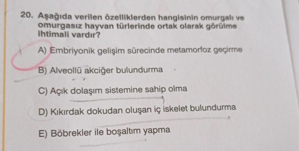 20. Aşağıda verilen özelliklerden hangisinin omurgalı ve
omurgasız hayvan türlerinde ortak olarak görülme
ihtimali vardır?
A) Embriyonik gelişim sürecinde metamorfoz geçirme
B) Alveollü akciğer bulundurma
C) Açık dolaşım sistemine sahip olma
D) Kıkırdak do