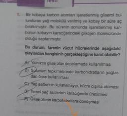 1. Bir kobaya karbon atomları işaretlenmiş gliserol bu-
lunduran yağ molekülü verilmiş ve kobay bir süre aç
bırakılmıştır. Bu sürenin sonunda işaretlenmiş kar-
bonun kobayin karaciğerindeki glikojen molekülünde
olduğu saptanmıştır.
Bu durum, farenin vücut hücrelerinde aşağıdaki
olaylardan hangisinin gerçekleştiğine kanıt olabilir?
A) Yalnızca gliserolün depolamada kullanılması
B) Solunum tepkimelerinde karbohidratların yağlar-
dan önce kullanılması
C) Yağ asitlerinin kullanılmayıp, hücre dışına atılması
D) Temel yağ asitlerinin karaciğerde üretilmesi
E) Gliserollerin karbohidratlara dönüşmesi