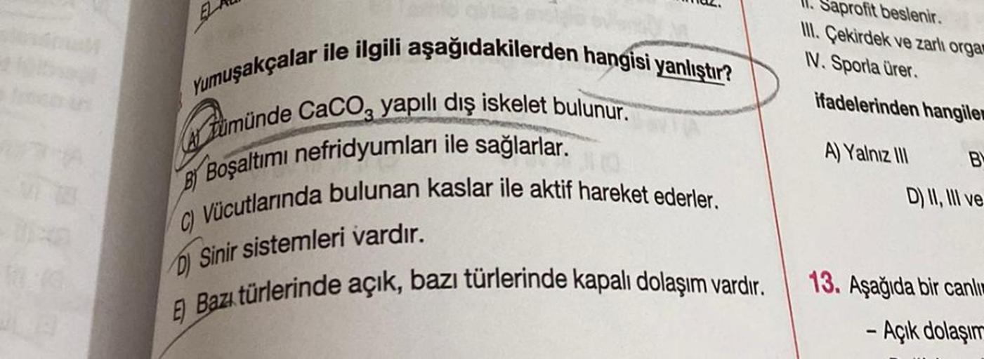 119
Yumuşakçalar ile ilgili aşağıdakilerden hangisi yanlıştır?
ümünde CaCO3 yapılı dış iskelet bulunur.
Boşaltımı nefridyumları ile sağlarlar.
C) Vücutlarında bulunan kaslar ile aktif hareket ederler.
Sinir sistemleri vardır.
D)
E Bazı türlerinde açık, baz