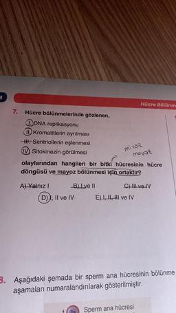 7.
Hücre bölünmelerinde gözlenen,
DNA replikasyonu
Kromatitlerin ayrılması
HII. Sentriollerin eşlenmesi
(IV) Sitokinezin görülmesi
A) Yalnız I
olaylarından hangileri bir bitki hücresinin hücre
döngüsü ve mayoz bölünmesi için ortaktir?
B) Lve II
D) I, II ve IV
mitoz
moyoz
Hücre Bölünm
C) III ve IV
E) I, II, II ve IV
3. Aşağıdaki şemada bir sperm ana hücresinin bölünme
aşamaları numaralandırılarak gösterilmiştir.
Sperm ana hücresi