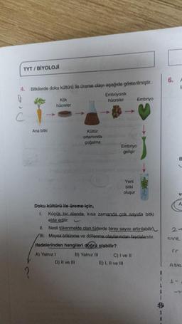 TYT/BİYOLOJİ
4. Bitkilerde doku kültürü ile üreme olayı aşağıda gösterilmiştir.
Embriyonik
hücreler
Ana bitki
Kök
hücreler
Doku kültürü ile üreme için,
I.
Kültür
ortamında
çoğalma
A) Yalnız I
B) Yalnız III
D) II ve III
-
Embriyo
gelişir
Küçük bir alanda, kısa zamanda çok sayıda bitki
elde edilir.
11. Nesli tükenmekte olan türlerde birey sayısı artırılabilir.
Ill. Mayoz bölünme ve döllenme olaylarından faydalanılır.
ifadelerinden hangileri doğru olabilir?
Yeni
bitki
oluşur
E) I, II ve III
C) I ve II
Embriyo
B
6.
A
li
2-
cone
fr
Ask