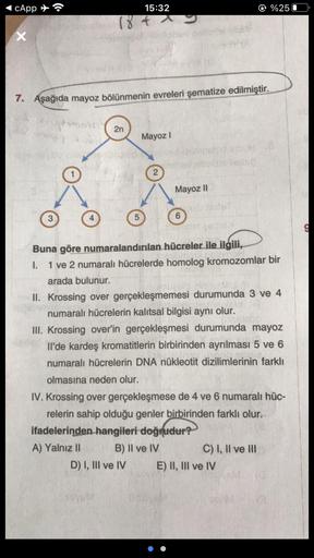 cApp
X
7. Aşağıda mayoz bölünmenin evreleri şematize edilmiştir.
3
noin
15:32
18+ -
4
2n
5
Mayoz I
2
D) I, III ve IV
Mayoz II
6
Buna göre numaralandırılan hücreler ile ilgili,
I. 1 ve 2 numaralı hücrelerde homolog kromozomlar bir
arada bulunur.
II. Krossin