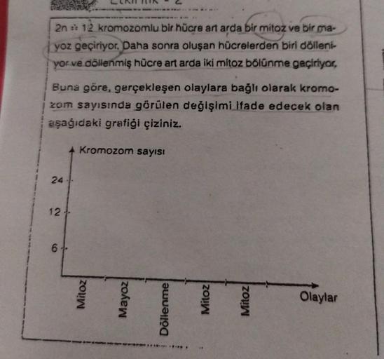 24
2n = 12 kromozomlu bir hücre art arda bir mitoz ve bir ma-
yoz geçiriyor. Daha sonra oluşan hücrelerden biri dölleni-
yor ve döllenmiş hücre art arda iki mitoz bölünme geçiriyor,
Buna göre, gerçekleşen olaylara bağlı olarak kromo-
zom sayısında görülen