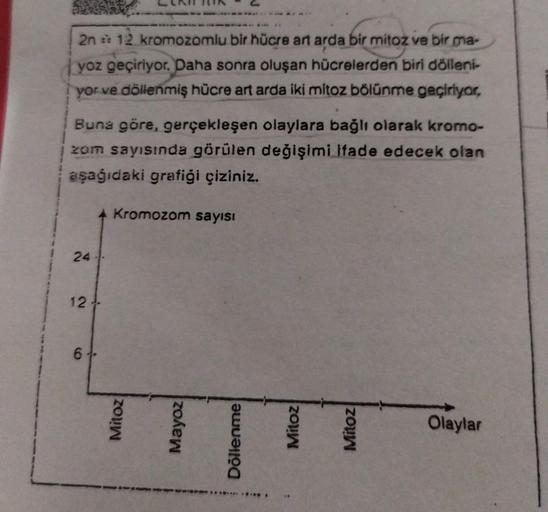 24
2n = 12 kromozomlu bir hücre art arda bir mitoz ve bir ma-
yoz geçiriyor. Daha sonra oluşan hücrelerden biri dölleni-
yor ve döllenmiş hücre art arda iki mitoz bölünme geçiriyor,
Buna göre, gerçekleşen olaylara bağlı olarak kromo-
zom sayısında görülen 