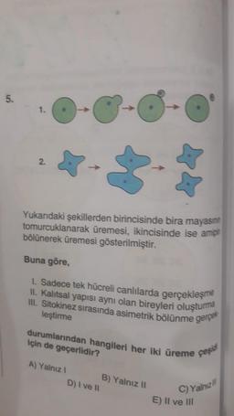 5.
1.
*
Yukarıdaki şekillerden birincisinde bira mayasın
tomurcuklanarak üremesi, ikincisinde ise amp
bölünerek üremesi gösterilmiştir.
2.
Buna göre,
1. Sadece tek hücreli canlılarda gerçekleşme
II. Kalıtsal yapısı aynı olan bireyleri oluşturma
III. Sitokinez sırasında asimetrik bölünme gerçe
leştirme
durumlarından hangileri her iki üreme
için de geçerlidir?
A) Yalnız I
D) I ve II
B) Yalnız II
çeşidi
C) Yalnız
E) II ve III