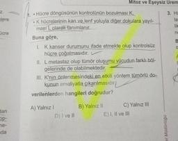 Z.
elere
ücre
dan
op-
ne-
da
Hücre döngüsünün kontrolünün bozulması K,
K hücrelerinin kan ve lenf yoluyla diğer dokulara yayıl-
•
ması L olarak tanımlanır.
e
Buna göre,
1. K kanser durumunu ifade etmekte olup kontrolsüz
hücre çoğalmasıdır.
II. L metastaz olup tümör oluşumu vücudun farklı böl-
gelerinde de olabilmektedir.
Mitoz ve Eşeysiz Urem
III. K'nın önlenmesindeki en etkili yöntem tümörlü do-
kunun ameliyatla çıkarılmasıdır.
verilenlerden hangileri doğrudur?
A) Yalnız I
D) I ve II
B) Yalnız II
C) Yalnız III
E) I, II ve III
el Müdürlüğü
3. HO
la
lik
no
0