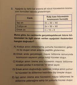 2. Aşağıda üç farklı bal arasına ait vücut hücrelerinin kromo-
zom formülleri taboda gösterilmiştir.
İşçi arı
Kraliçe ari
Erkek arı
Canlı
Kalp kasi hücresinin
kromozom formülü
2n = 30 + XX
2n = 30 + XX
n=15+X
Buna göre, bu canlılarda gerçekleşebilecek hücre bö-
lünmeleri ile ilgili olarak verilen aşağıdaki ifadelerden
hangisi doğrudur?
A) Kraliçe arının döllenmemiş yumurta hücrelerinin gelişi-
mi ile oluşan erkek arılarda çeşitlilik gözlenmez.
B) Erkek arıda gerçekleşen mayoz bölünme sonucunda
kromozom sayısının yarıya indiği hücreler oluşur.
C) Kraliçe arının üreme ana hücresinin mayoz bölünme-
sindeki profaz Il evresinde 16 tetrat sayılır.
D) Erkek arının oluşturduğu spermler, kraliçe arının yumur-
ta hücreleri ile döllenirse kesinlikle dişi bireyler oluşur.
E) İşçi arının üreme ana hücresinin mayoz bölünmesi ile
döllenme yeteneğine sahip bir yumurta hücresi oluşur.