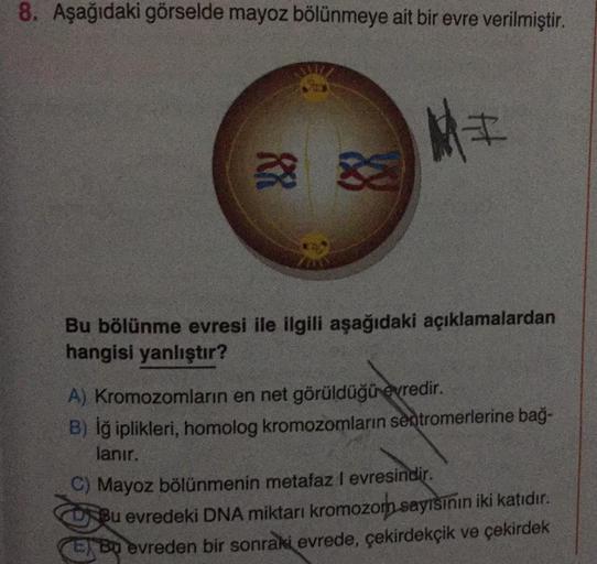 8. Aşağıdaki görselde mayoz bölünmeye ait bir evre verilmiştir.
&
MI
Bu bölünme evresi ile ilgili aşağıdaki açıklamalardan
hangisi yanlıştır?
A) Kromozomların en net görüldüğü evredir.
B) İğ iplikleri, homolog kromozomların sentromerlerine bağ-
lanır.
C) M