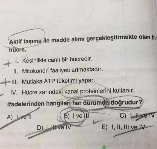 Aktif taşıma ile madde alımı gerçekleştirmekte olan bir
hücre,
+
1. Kesinlikle canlı bir hücredir.
II. Mitokondri faaliyeti artmaktadır.
III. Mutlaka ATP tüketimi yapar.
IV. Hücre zarındaki kanal proteinlerini kullanır.
ifadelerinden hangileri her durumda