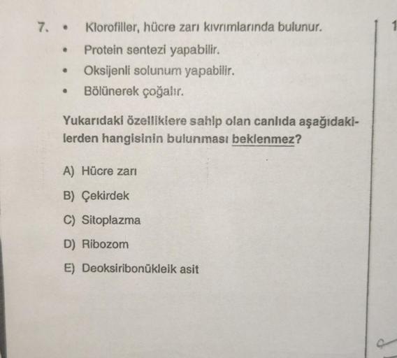 7. Klorofiller, hücre zarı kıvrımlarında bulunur.
Protein sentezi yapabilir.
Oksijenli solunum yapabilir.
• Bölünerek çoğalır.
Yukarıdaki özelliklere sahip olan canlıda aşağıdaki-
lerden hangisinin bulunması beklenmez?
A) Hücre zarı
B) Çekirdek
C) Sitoplaz