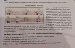 3. Arzu, ilk yardım dersinde soluk borusuna cisim kaçan birine yapılacak tıbbi müdahale konusunu öğrenmektedir.
Heimlich (Haymlik) Manevrası
Hızlı yeme alışkanlığı ve yemek yerken konuş-
mak yüzünden soluk borusuna yemek kaçma-
si sık yaşanan sorunlar arasında yer alıyor.
Heimlich manevrası, soluk borusuna kaçan
yemeği ya da başka bir yabancı cismi çıkarmak
için uygulanan tibbi bir müdahaledir. Böyle bir
durumda olan hasta ilk önce öksürtülmelidir,
öksürme işe yaramazsa müdahalede bulunu-
lacak olan kişinin arkasına geçilmeli, boğazın-
da bulunan cismin daha rahat çıkmasını sağ-
lamak için kişinin hafif bir şekilde öne eğilmesi
sağlanmalı, yumruk şeklinde sıkılmış olan eller ile üst karın bölgesine bir basınç uygulanmalıdır. Boğazınıza bir şey
kaçtığında yanınızda kimse yoksa bir sandalye, masa veya tezgâh gibi sert bir yüzey bulup yumruğunuzu, diyaframınız
ve sert cisim arasına yerleştirip kendinizi hızlıca itin. Bu sayede diyaframa çok büyük bir baskı yapabilirsiniz ve sert
cismi çıkarabilirsiniz.
Arzu sadece bu bilgi ve görsellerden yola çıkarak aşağıdaki yargılardan hangisine ulaşamaz?
A) Yemek yerken konuşursak yiyecekler yemek borusu yerine soluk borusuna gidebilir.
B) Heimlich manevrası kendi kendimize de uygulanabilir.
C) Heimlich manevrası her yaş grubuna yazıda anlatıldığı gibi uygulanır.
D) Soluk borusuna kaçan cismin çıkarılması için diyafram üzerinde yüksek bir baskı yaratılmalıdır.