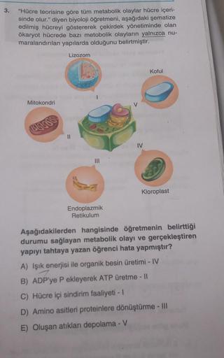 3.
"Hücre teorisine göre tüm metabolik olaylar hücre içeri-
sinde olur." diyen biyoloji öğretmeni, aşağıdaki şematize
edilmiş hücreyi göstererek çekirdek yönetiminde olan
ökaryot hücrede bazı metobolik olayların yalnızca nu-
maralandırılan yapılarda olduğu