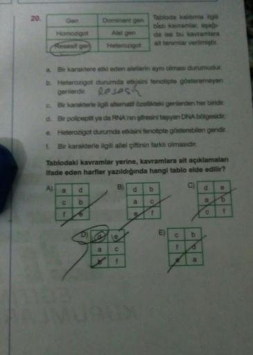 20.
Gen
Homozigot
Resesif gen
a
a. Bir karaktere etki eden alellerin aynı olması durumudur.
b. Heterozigot durumda etkisini fenotipte gösteremeyen
genlerdir.
Resesin
c. Bir karakterle ilgili alternatif özellikteki genlerden her biridir.
d. Bir polipeptit y