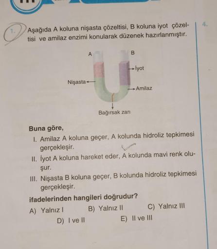 1.
Aşağıda A koluna nişasta çözeltisi, B koluna iyot çözel-
tisi ve amilaz enzimi konularak düzenek hazırlanmıştır.
Nişasta
A
U
D) I ve II
B
→→İyot
Bağırsak zarı
→ Amilaz
Buna göre,
I. Amilaz A koluna geçer, A kolunda hidroliz tepkimesi
gerçekleşir.
II. İy