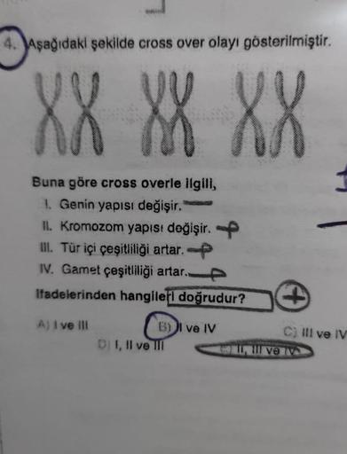 4. Aşağıdaki şekilde cross over olayı gösterilmiştir.
XX XX XX
Buna göre cross overle ilgili,
1. Genin yapısı değişir.
II. Kromozom yapısı değişir.
III. Tür içi çeşitliliği artar.-
IV. Gamet çeşitliliği artar..
Ifadelerinden hangileri doğrudur?
A) I ve ill