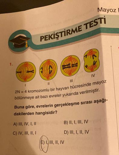 1.
1
A) III, IV, I, II
C) IV, III, II, I
PEKİŞTİRME TESTİ
||
|||
2N = 4 kromozomlu bir hayvan hücresinde mayoz
bölünmeye ait bazı evreler yukarıda verilmiştir.
Buna göre, evrelerin gerçekleşme sırası aşağı-
dakilerden hangisidir?
B) II, I, III, IV
D) III,