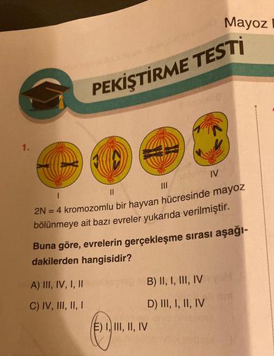 1.
1
A) III, IV, I, II
C) IV, III, II, I
PEKİŞTİRME TESTİ
||
|||
2N = 4 kromozomlu bir hayvan hücresinde mayoz
bölünmeye ait bazı evreler yukarıda verilmiştir.
Buna göre, evrelerin gerçekleşme sırası aşağı-
dakilerden hangisidir?
B) II, I, III, IV
D) III, 