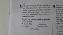 "Göç ettiğimiz köyümüz aklıma düştüğünde ilk
hatırladığım göl maceralarımızdır. Görevim olan
ahırı temizledikten sonra arkadaşlarımla yüzmeye
giderdik. Çoğu zaman babamla birlikte oltalarımızı
alıp inci kefali balığı tutardık. Annem ise ablala-
rimla sodalı sularında hem çamaşırlarımızı hem
de yünlerimizi yıkardı."
Parçada bazı özellikleri verilen göl aşağıdaki-
lerden hangisidir?
A) Beyşehir Gölü
C) Van Gölü
B) Ulubat Gölü
(D) Sapanca Gölü
E) Abant Gölü
Yazları kura
ormanların t
türlerden olu
şir. Bu form
edilmesiyle
hakim olur.
Orman tahr
anlatıldığı
mesi gerek
lerden han
A) psodön
B) maki/
C) psodör
D) garig/