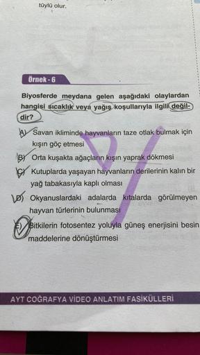 tüylü olur.
Örnek-6
Biyosferde meydana gelen aşağıdaki olaylardan
hangisi sıcaklık veya yağış koşullarıyla ilgili değil-
dir?
A
Savan ikliminde hayvanların taze otlak bulmak için
kışın göç etmesi
Orta kuşakta ağaçların kışın yaprak dökmesi
Kutuplarda yaşay