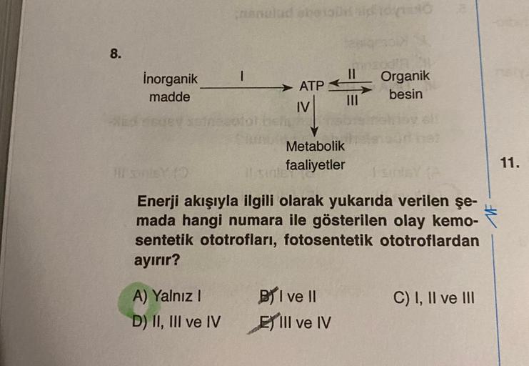 8.
Med
inorganik
madde
nenutad abetarlaid 100
A) Yalnız I
D) II, III ve IV
ATP
IV
Metabolik
faaliyetler
Il sinter
11
|||
Enerji akışıyla ilgili olarak yukarıda verilen şe-
mada hangi numara ile gösterilen olay kemo-
sentetik ototrofları, fotosentetik ototr