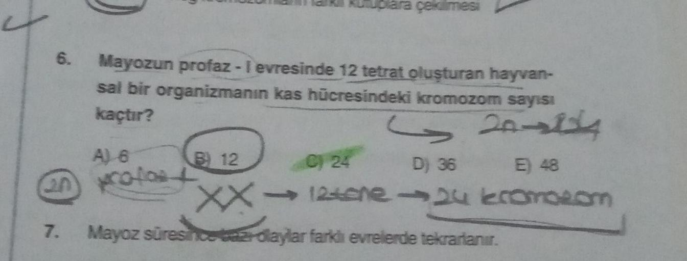 6.
ara çekilmesi
Mayozun profaz - I evresinde 12 tetrat oluşturan hayvan-
sal bir organizmanın kas hücresindeki kromozom sayısı
kaçtır?
S 2014
A) 6
2n profics
B) 12
C) 24
D) 36
E) 48
XX→ 12tone → 24 kromozom
7. Mayoz süresinceta-daylar farkli evrelerde tek