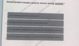 Verilenlerden hangisi
ni4shcfopneşeysiz üreme
ni4shcfopheği değildir?
br
A) Paramesyumun ikiye bölünmesi
B) Maya mantarı hücresinin tomurcuklanması
724
C) Lale bitkisi soğanlarının çoğalarak yeni lale bitkileri üretmesi
D) Yeni doğan bir balinanın zamanla tonlarca ağırlığa ulaşması
revea