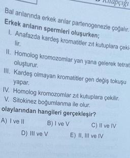 Bal anılarında erkek arılar partenogenezle çoğalır.
Erkek arıların spermleri oluşurken;
1. Anafazda kardeş kromatitler zıt kutuplara çeki-
lir.
II. Homolog kromozomlar yan yana gelerek tetrat
oluşturur.
III. Kardeş olmayan kromatitler gen değiş tokuşu
yapar.
Husbil
IV. Homolog kromozomlar zıt kutuplara çekilir.
V. Sitokinez boğumlanma ile olur.
olaylarından hangileri gerçekleşir?
A) I ve II
B) I ve V
D) III ve V
napçığı
C) II ve IV
E) II, III ve IV