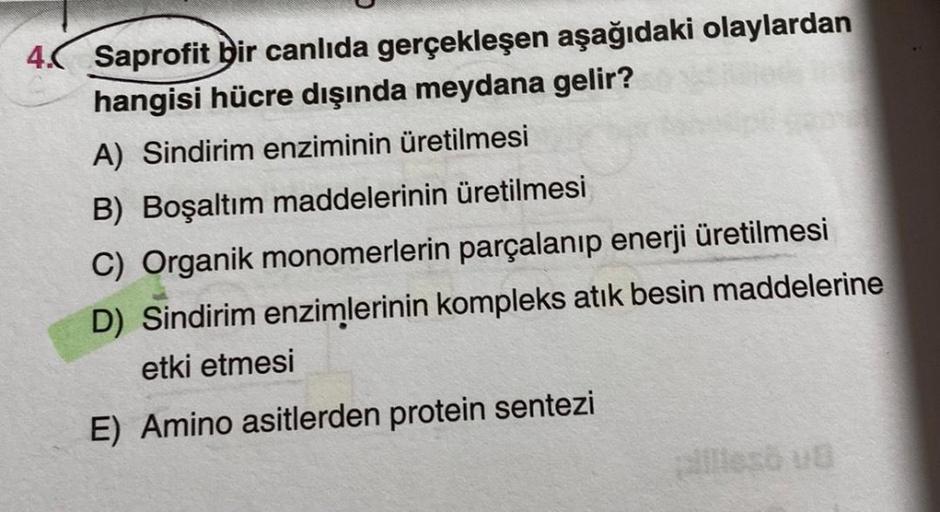 4. Saprofit bir canlıda gerçekleşen aşağıdaki olaylardan
hangisi hücre dışında meydana gelir?
A) Sindirim enziminin üretilmesi
B) Boşaltım maddelerinin üretilmesi
C) Organik monomerlerin parçalanıp enerji üretilmesi
D) Sindirim enzimlerinin kompleks atık b