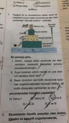 angi-
11
stu-
nin
Palme Yayınevi
6.
5.
A) Palamut
C) Ringa balığı
E Balina
B) Zooplankton
D)
Fitoplankton
Aşağıda bir su ekosistemine katılan zehirli bir
maddenin (+) aynı besin zincirinde yer alan farklı
canlılardaki "biyolojik birikimi" verilmiştir.
Balı