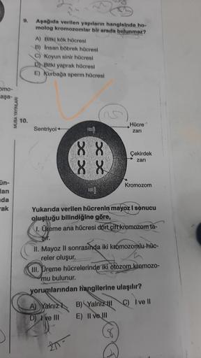 omo-
aşa-
ün-
an
da
rak
MUBA YAYINLARI
9.
10.
Aşağıda verilen yapıların hangisinde ho-
molog kromozomlar bir arada bulunmaz?
A) Bitki kök hücresi
B) Insan böbrek hücresi
C) Koyun sinir hücresi
D) Bitki yaprak hücresl
E) Kurbağa sperm hücresi
Sentriyol
88
8