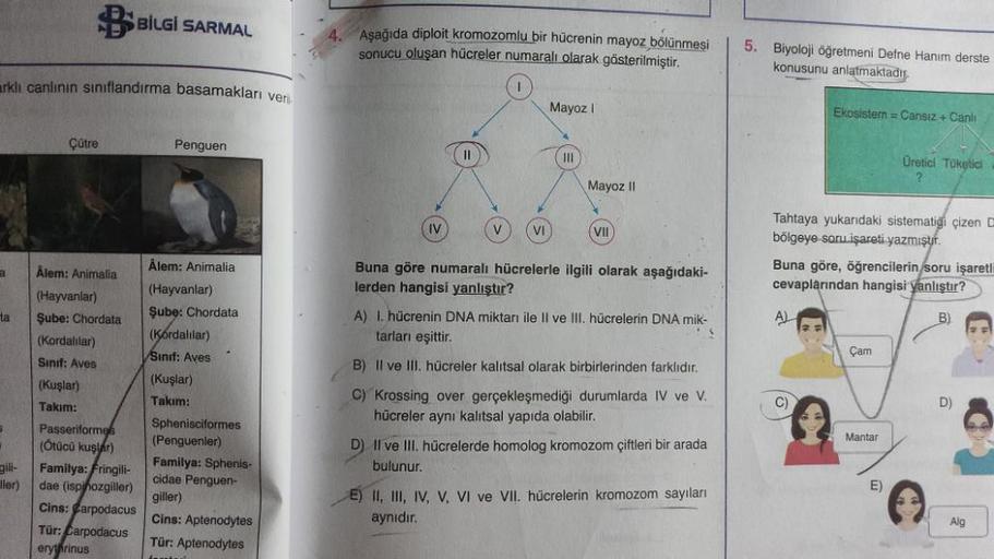 arklı canlının sınıflandırma basamakları ver
a
ta
gili-
ller)
Çütre
BİLGİ SARMAL
Ålem: Animalia
(Hayvanlar)
Şube: Chordata
(Kordalilar)
Sınıf: Aves
(Kuşlar)
Takım:
Passeriformes
(Ötücü kuşlar)
Familya: Fringili-
dae (ispiñozgiller)
Cins: Carpodacus
Tür: Ca