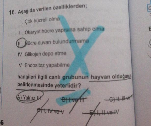 56 16. Aşağıda verilen özelliklerden; 1. Çok hücrel… Biyoloji 56 16. Aşağıda verilen özelliklerden; 1. Çok hücrel… Biyoloji